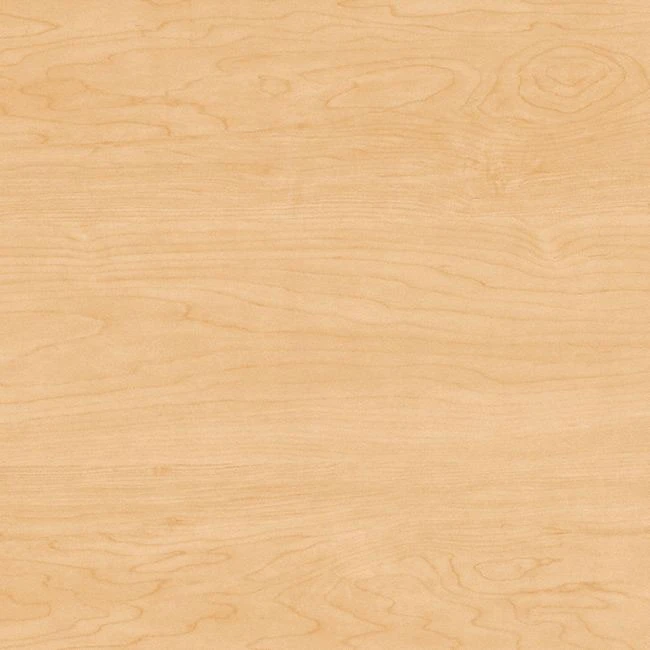 Bush Furniture Move 60 Series 60W X 30D Height Adjustable Table Standing Desk - M6S6030ACBK - Image 12